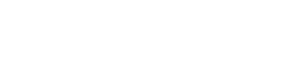 modigie logo